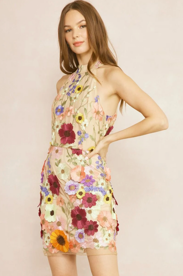 Flirty Floral Embroidery Sleeveless Mini Dress
